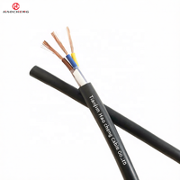 Kabel Fleksibel Berlapis Karet Sedang YZW, Isolasi EPR, Selubung Kloroprena, Tahan Minyak dan Cuaca, 300/500V