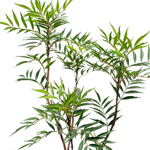 Arbre Bonsaï Artificiel de 120cm avec Paulownia en Plastique Vert Palmier pour Chambre à Coucher Plante de Qualité pour Décoration Intérieure - Product Image 6