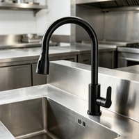 Keran Dapur Modern Matte Black Plastik, Model Deck Mounted, Tuas Tunggal, Air Panas Dingin, Semprotan Tarik, Mixer Tap