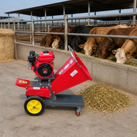 Nouvelle Hacheuse à Fourrage Mobile 168 7.0HP à Essence avec Grande Trémie, Coupe Uniforme, Capacité 1 Tonne/Heure pour Alimentation des Vaches, Moutons et Chèvres