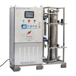 Generador de ozono de 300g para aguas residuales que reduce los DQO y la coloración - Product Image 6