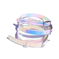 Sangle enduite de PVC de haute qualité étanche et durable pour collier et laisse pour animaux de compagnie accessoire transfrontalier réfléchissant