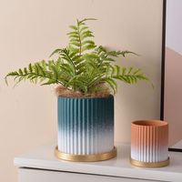 Pots de fleurs décoratifs de jardin moderne de style européen Grands pots en céramique bon marché Jardinière succulente en céramique personnalisée
