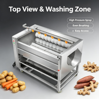 Machine à laver à brosse à jet d'eau haute pression qui élimine efficacement la boue des surfaces des gingembre et des pommes de terre