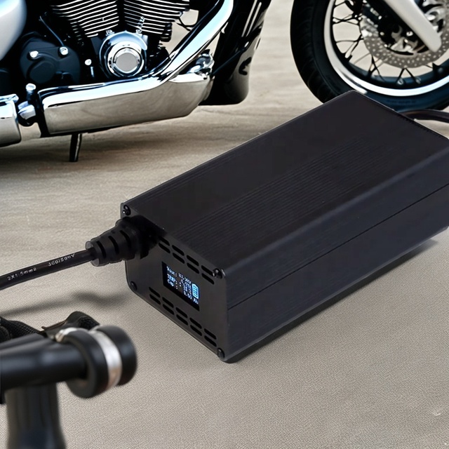 ELEJOY Professional Industrial Portable Smart 24V 20A LiFePO4 Battery Charger AC/DC Universal Lithium Lead-acid LCD Screen
