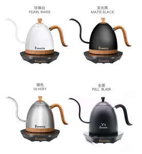 Brewista Artisan 1.0L Smart Instant Heating Temperature Control Pot Variable Stainless steel 1-liter electric gooseneck kettle