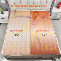 Couverture électrique chauffante, drap chauffant, lit chauffant thermique 220v/110v 80x150cm, minuterie intelligente, double contrôle de la température