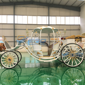 Carruaje de Calabaza Eléctrico de Lujo 2025 al por Mayor, de Alta Calidad, Blanco, Estilo Cenicienta, Cama de Princesa, para Bodas - Product Image 6