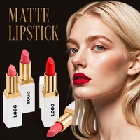 Rouge à lèvres mat végétalien, anti-transfert, waterproof, longue tenue, résistant aux bavures, tube personnalisé, logo personnalisé, OEM ODM