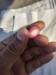 Rubí Estrella Natural Translúcido, Gema Suelta de Color Rojo Púrpura de la India (Rajasthan) para Joyería, Excelente Precio - Product Image 4