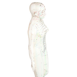 Çin akupunktur modeli insan akupunktur akupunktur modeli vücut noktası 60cm akupunktur modeli - Product Image 6