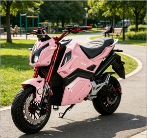 Acquista Sei e Ricevi Uno Gratis: Moto Elettrica a Due Ruote da 3000W, Alta Qualità, Dirt Bike, E-streetbike, Veicolo di Pattuglia Multiuso - Product Image 6