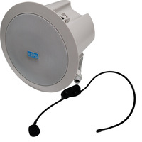 Microphone sans fil portable 2,4 GHz pour mosquée, école, hôtel, magasin, salle de réunion, guide touristique, haut-parleur mural ou de plafond intérieur/extérieur