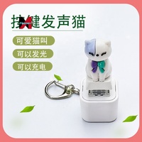 Nouveau Porte-clés Pendentif Sac Lumineux Sonore Décompression en Bois en Forme de Poisson avec Bouton de Pression, Cadeau Amusant