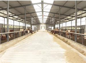 Nave Industrial Prefabricada de Estructura de Acero Ligero, Diseño de Nave Industrial Gratuito, Estilo Personalizado - Product Image 4