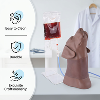 Modèle d'entraînement pour la ponction veineuse canine de la tête et du cou, pour la collecte de sang de la veine jugulaire externe du chien, avec circulation sanguine simulée