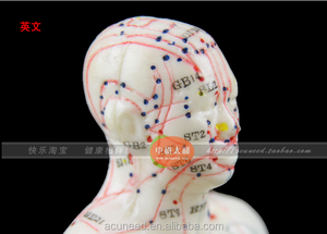 Modello di Punti di Agopuntura Umani Maschili per Muscoli del Corpo, Stile Cinese - Product Image 3