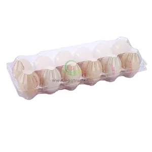 professional egg tray manufacturer 12 holes duck egg box