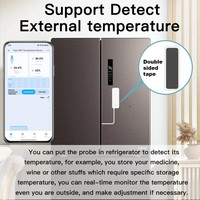 Thermomètre Hygromètre WALE Tuya WiFi, capteur intelligent de température et d'humidité, commande vocale, charge par batterie, pour usage domestique