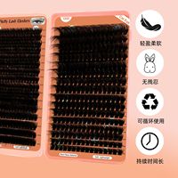 Nouvelles extensions de cils volume faites à la main, ruban pré-coupé DIY, segmentées, pour bouquets floraux extrêmement volumineux, marque privée