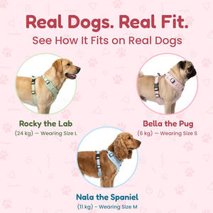 Chaleco Ajustable y Transpirable con Lindo Estampado <span class=keywords><strong>de</strong></span> Corazones, Acolchado Suave con Anillo en D en la Espalda, para Perros Pequeños <span class=keywords><strong>de</strong></span> Talla XXS-L - Product Image 5