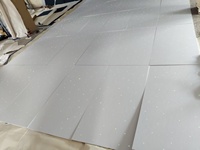 Luces Decorativas de Techo con Efecto de Cielo Estrellado, Proyector de Estrellas LED de Fibra Óptica de Plástico para KTV, Cine, Cine en Casa, Cielo Nocturno