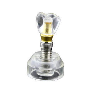 Educazione orale e dentale scienza medica rimovibile trasparente ingrandire il modello di impianto dentale - Product Image 6