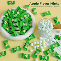 Permen Tablet Vitamin C Rasa Apel Buah-Buahan Bebas Gula Kemasan Kantong Mint untuk Menyegarkan Napas (Produksi Pabrik OEM)