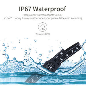 <span class=keywords><strong>GPS</strong></span>-трекер для собак с отслеживанием в реальном времени, несколькими режимами позиционирования (<span class=keywords><strong>GPS</strong></span>/сотовая вышка/Wi-Fi), воспроизведением истории маршрутов - Product Image 5
