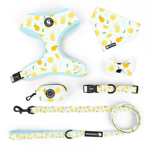 OEM Aangepaste Verstelbare Hondentuig en Leidingsset Neopreen Hondentuig en Leidingsset Met Poepzakjes Touw Hondentuig Hondentraining Tuig - Product Image 1