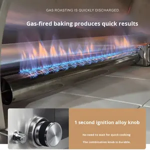 Four à pizza de style <span class=keywords><strong>italien</strong></span> européen, grill extérieur, cour, acier inoxydable, <span class=keywords><strong>charbon</strong></span> de bois, propane, <span class=keywords><strong>barbecue</strong></span>, four à rôtir, flamme - Product Image 4