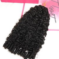 ISEE Promotion Exceptionnelle 55g 110g Extensions de Cheveux Humains Réutilisables au Crochet Effet Plume Tressage Bouclé Birman Sans Nœuds Pré-Séparées Mouillé & Ondulé