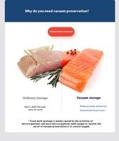 Automatique 110V/220V Ménage Cuisine Sec Humide Scellant Sous Vide Machine Mini Électrique Alimentaire Sac Scellant En Plastique Emballage Scelleuses Voiture