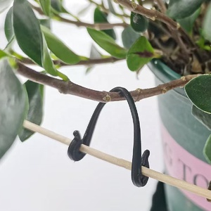 Clip de vigne en plastique Crochet de soutien pour plante de jardin <span class=keywords><strong>Tomate</strong></span> Raisin Framboise Kiwi Vigne Crochet plat Clip - Product Image 4