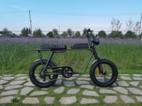 Vélo électrique à pneus larges en aluminium avec batterie lithium-ion haute capacité 48V15AH, 20 pouces, 7 vitesses, double moteur brushless Bafang G602