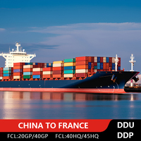 Servicio Puerta a Puerta de China a Francia, Servicio de Transporte Marítimo LCL, Soporte para Despacho de Aduanas