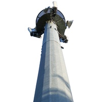 Poteau Monopode Intelligent 5G de 12m pour Ville Connectée avec Éclairage Intégré et Boîtier Réseau Camouflé – Technologie Professionnelle