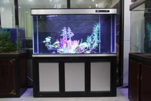 25W Led-Verlichtingssysteem Modern Rechthoekig Ontwerp Glazen Rifaquarium Grote Capaciteit Voor Exotische Vissen En Kleurrijke Koralen Display - Product Image 2