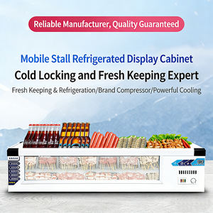 Congélateur à double porte avec thermostat mécanique réglable et porte coulissante entièrement vitrée pour supermarchés, restaurants et vendeurs ambulants - Product Image 6