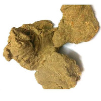 Pasokan Grosir Bubuk Kue Moringa Liar Kemasan Vakum dalam Drum untuk Industri Makanan Kesehatan untuk Ekspor