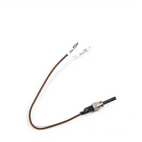 Bougie de préchauffage en céramique de nitrure de silicium Eberspacher 12V pour chauffage de stationnement, modèle DHS-12F 25210601100