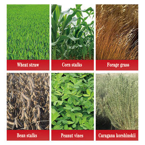 Yeni çim öğütücü, mısır sapı parçalayıcı, sığır ve koyun yetiştiriciliği için kuru ve ıslak çift amaçlı elektrik çim kesici - Product Image 3