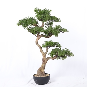 Decoración de escritorio de oficina Diferentes estilos Ornamental Artificial Plne Tree Faux Yew Plum Pine Bonsai con maceta - Product Image 5