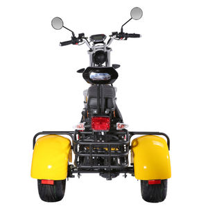 Tricycle électrique Support technique sur place Freestyle Cargo Trike <span class=keywords><strong>3</strong></span> <span class=keywords><strong>roues</strong></span> Tricycle électrique à <span class=keywords><strong>vendre</strong></span> - Product Image 3