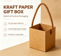 Eco Friendly Mini Kraft Paper Gift Box With Cotton Rope Handle Portable Succulent Plant Packaging Box Wedding Birthday Party