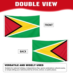 Drapeaux nationaux personnalisés en gros 3x5FT Drapeau de la Guyane Triangle Doré Vert Rouge Drapeau Personnalisé Polyester 100D - Product Image 2