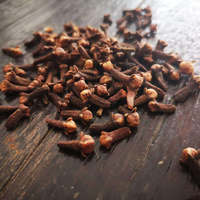 Clous de Girofle Entiers Allongés Naturels Séchés – Prix de Gros pour Transformation Alimentaire, Fournisseur d'Épices Brutes