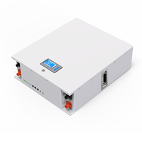 Batterie murale d'alimentation 20 kw pack lfp lifepo4 power wall batterie lithium ion power wall 24v 48v 200ah batterie au lithium