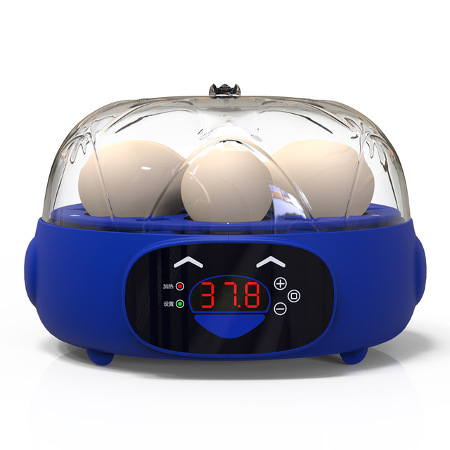 Small Household Incubator Mini Fully Automatic Smart Egg Incubator