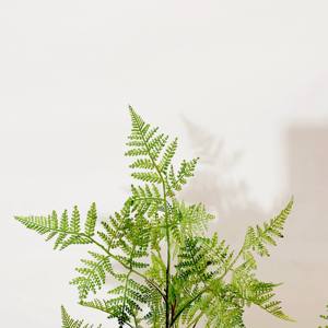 2025 Nueva <span class=keywords><strong>Cola</strong></span> <span class=keywords><strong>de</strong></span> <span class=keywords><strong>Caballo</strong></span> Artificial verde helecho <span class=keywords><strong>Palmera</strong></span> tiene múltiples postes hoja <span class=keywords><strong>de</strong></span> plástico para el hogar Hotel jardín decoración interior al aire libre - Product Image 6